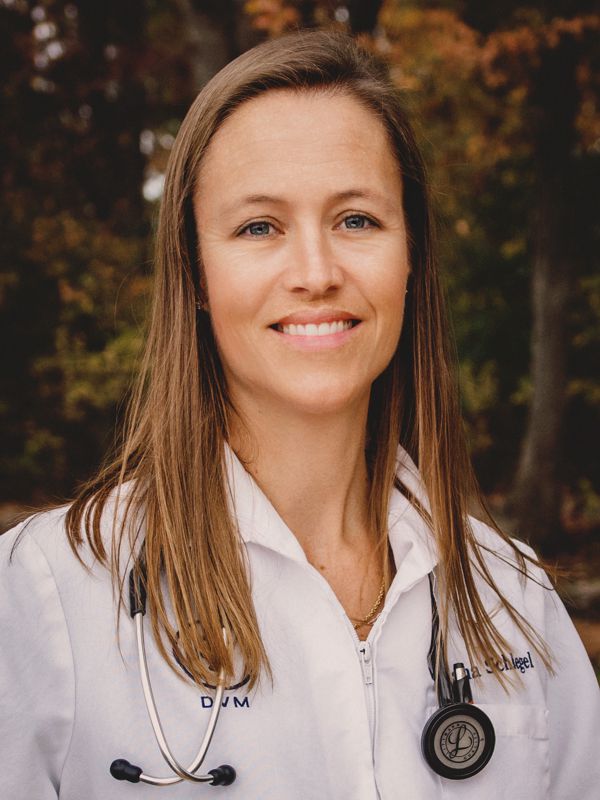 Janelle Schlegel DVM