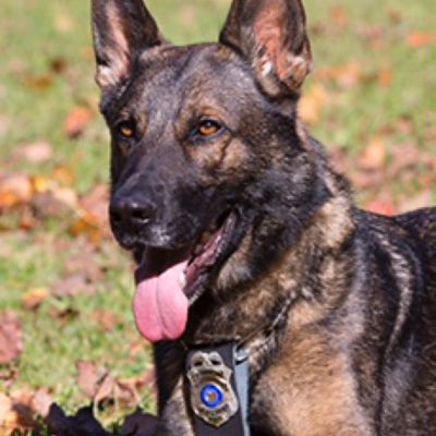 Burlington K-9 Unit