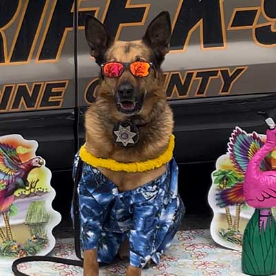 K-9 Deputy Friday retires
