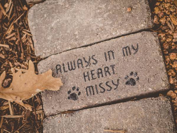 Memorial Garden Personalized Brick